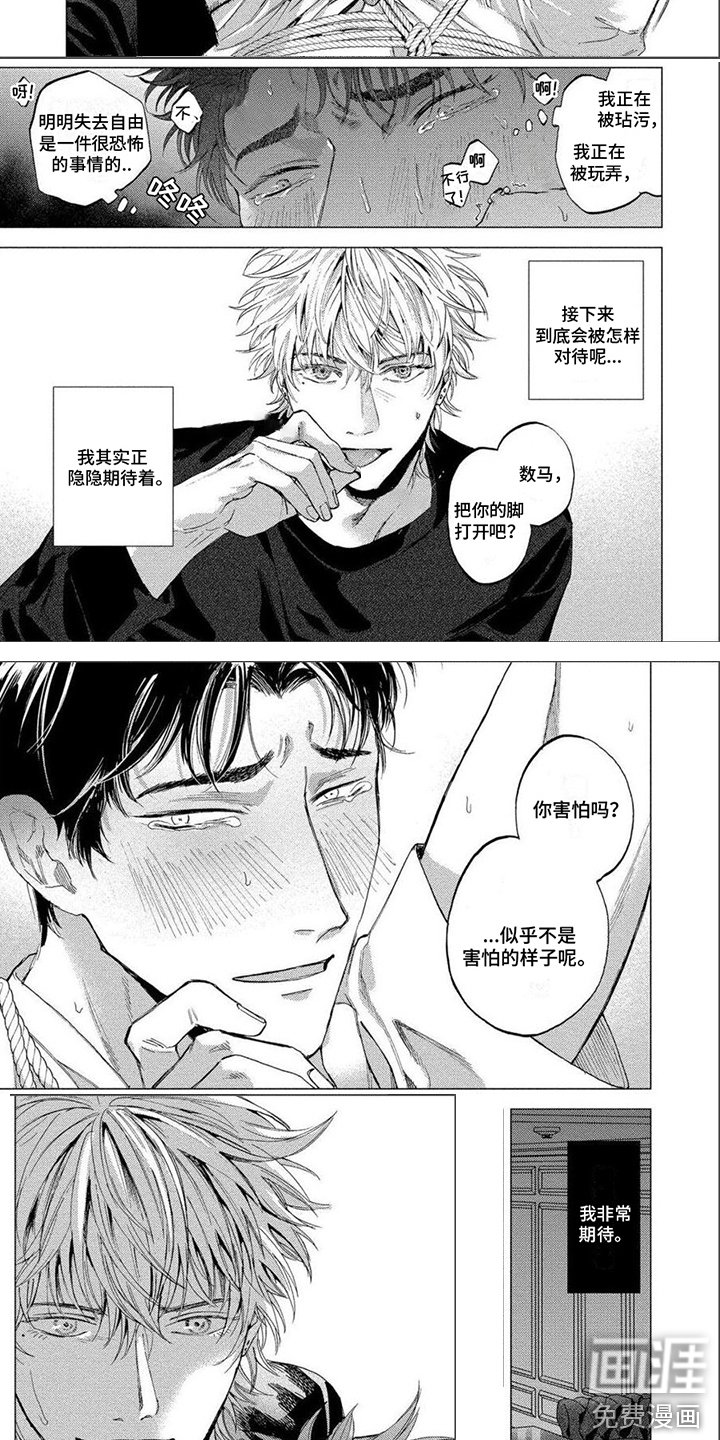 第25章：期待