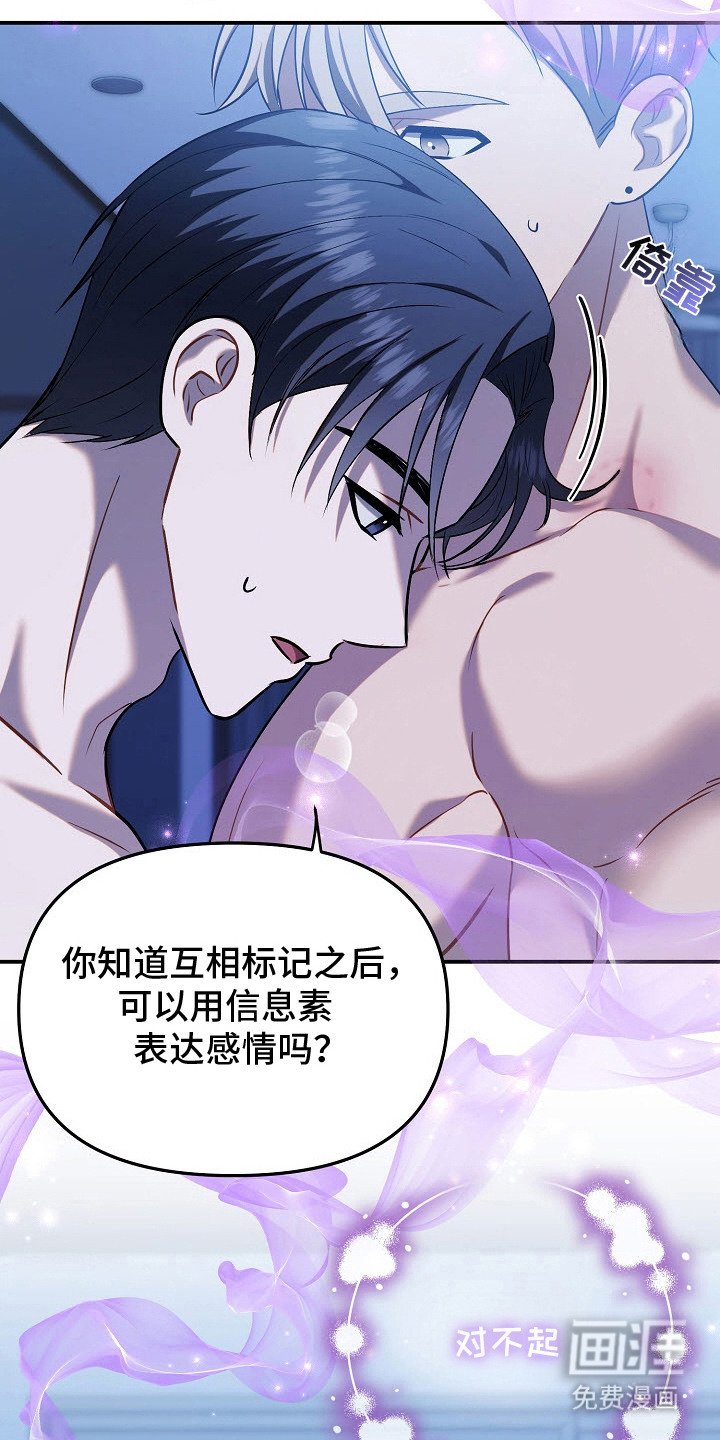 第11章：表达心意