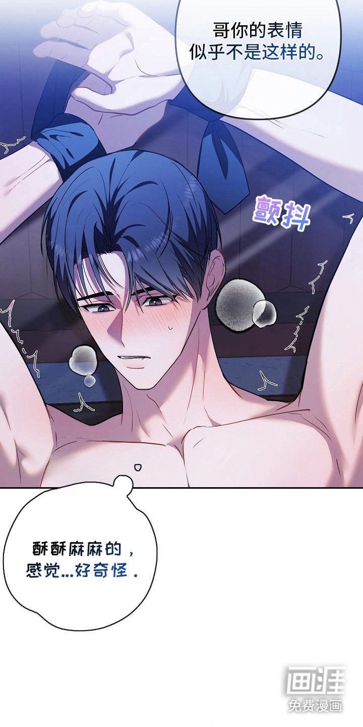 第4章：就在这吧
