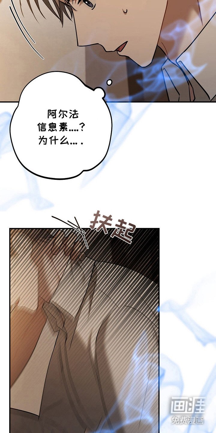 第8章：信息素