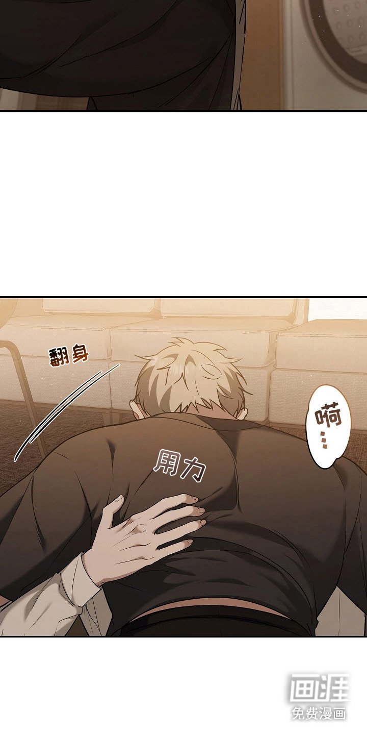 第8章：信息素