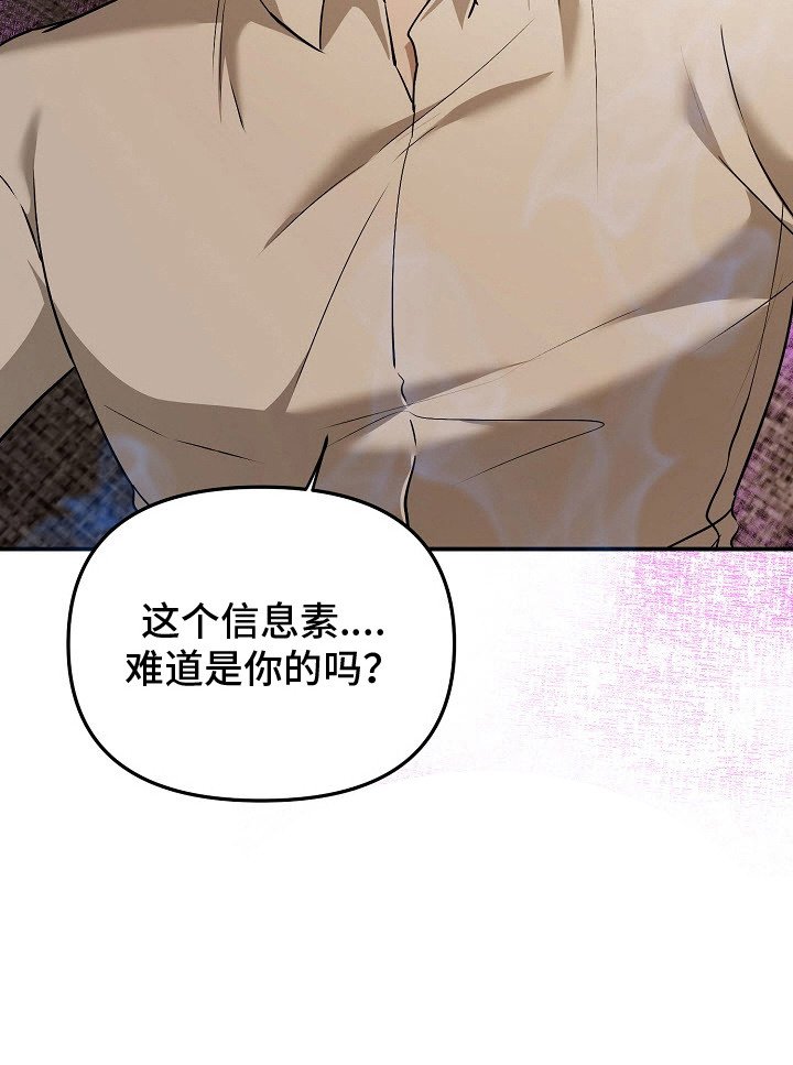 第8章：信息素