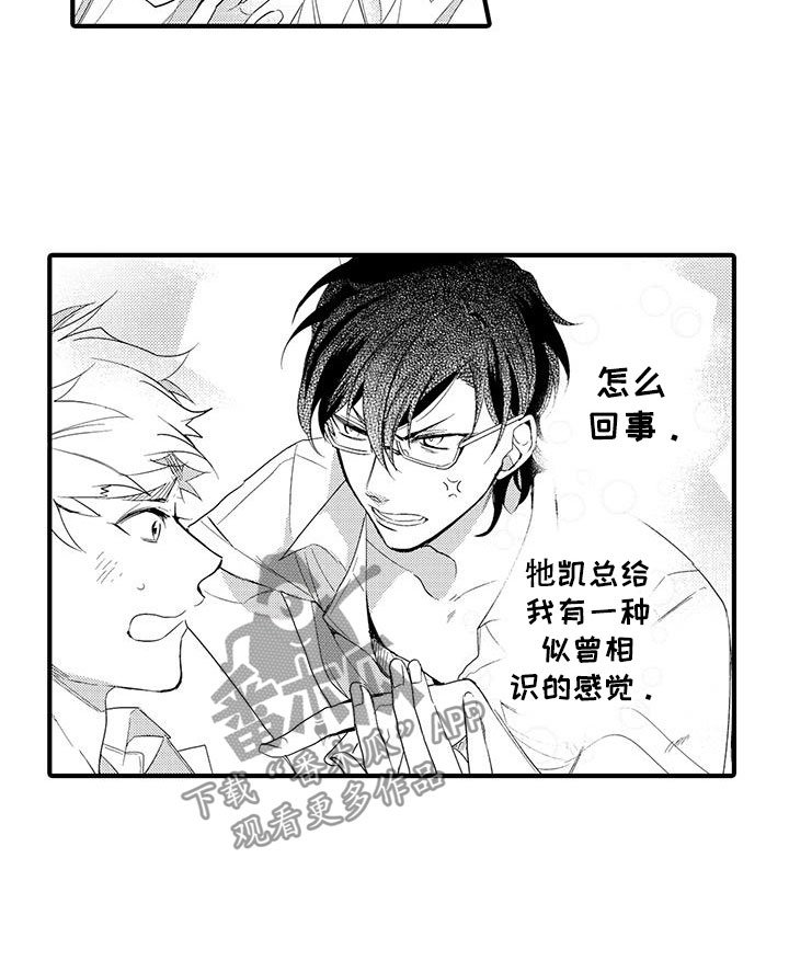 第11章：图书馆：视频