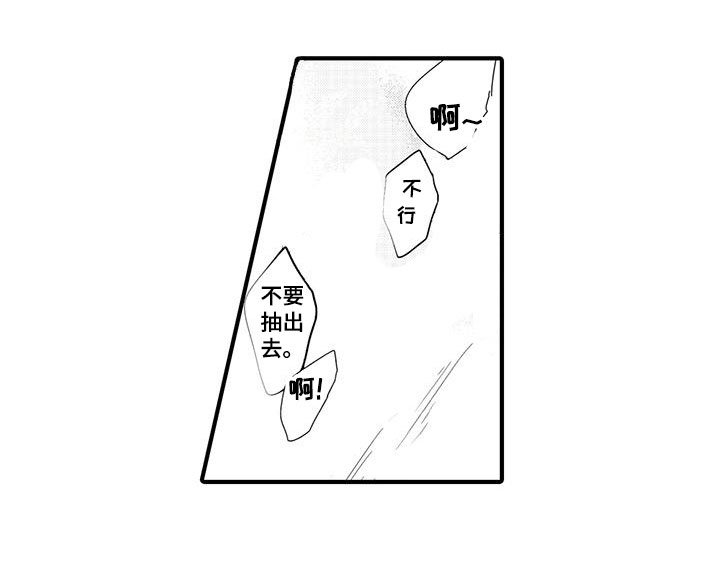 第12章：图书馆：粉丝
