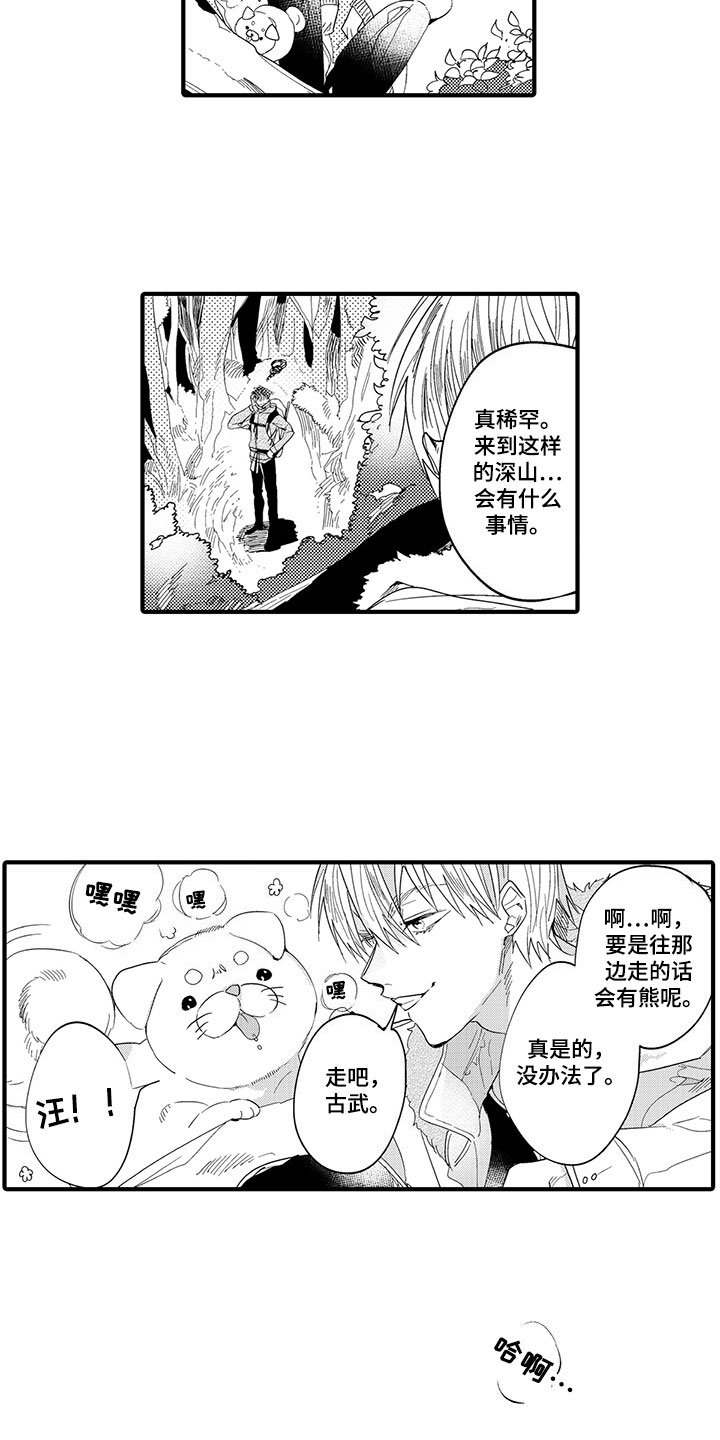 第19章：森林小屋：入住