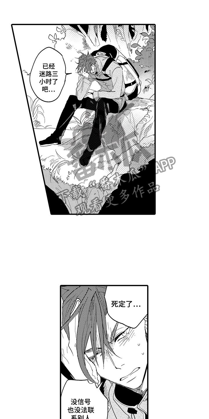 第19章：森林小屋：入住