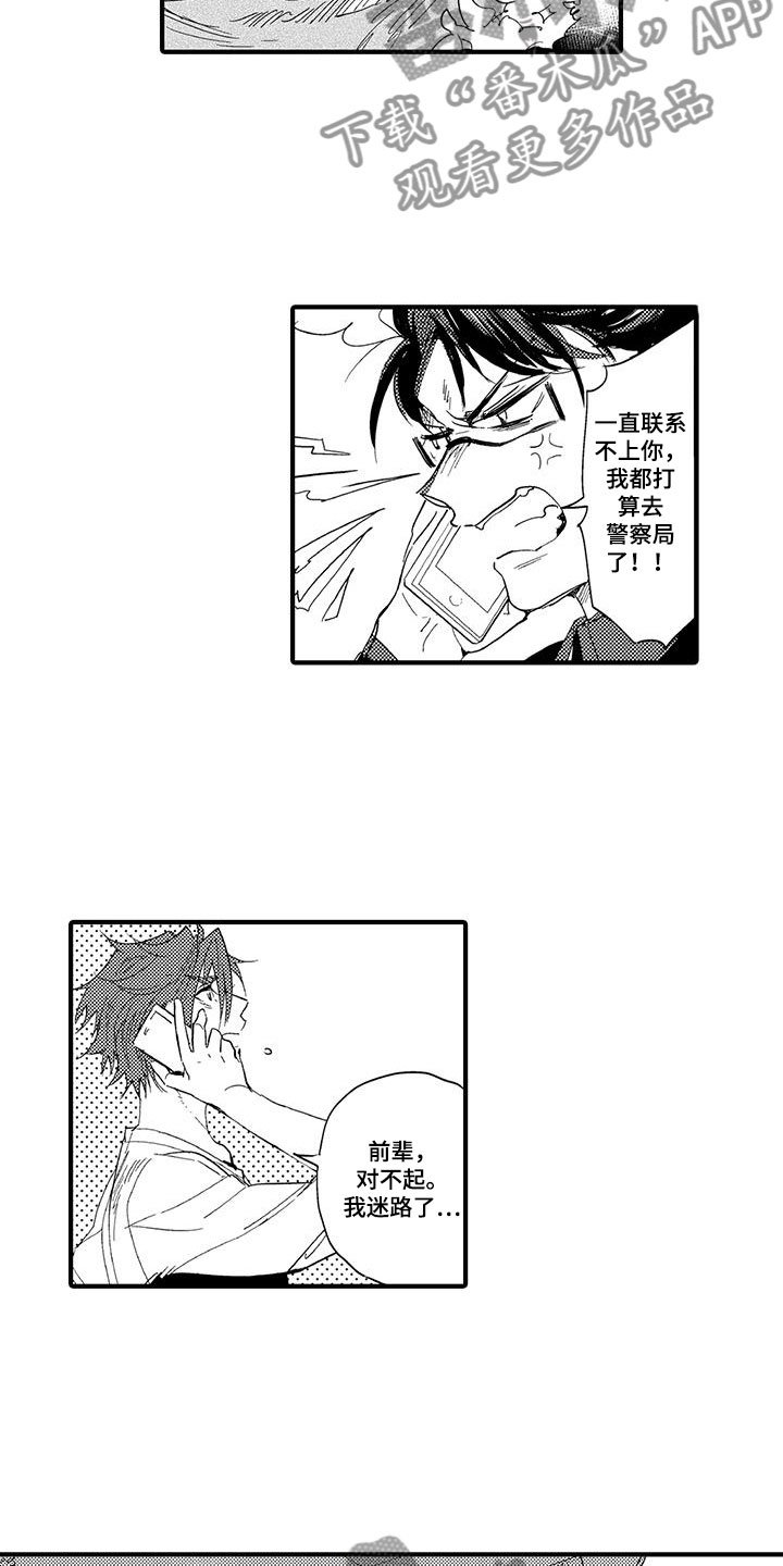 第20章：森林小屋：幻影