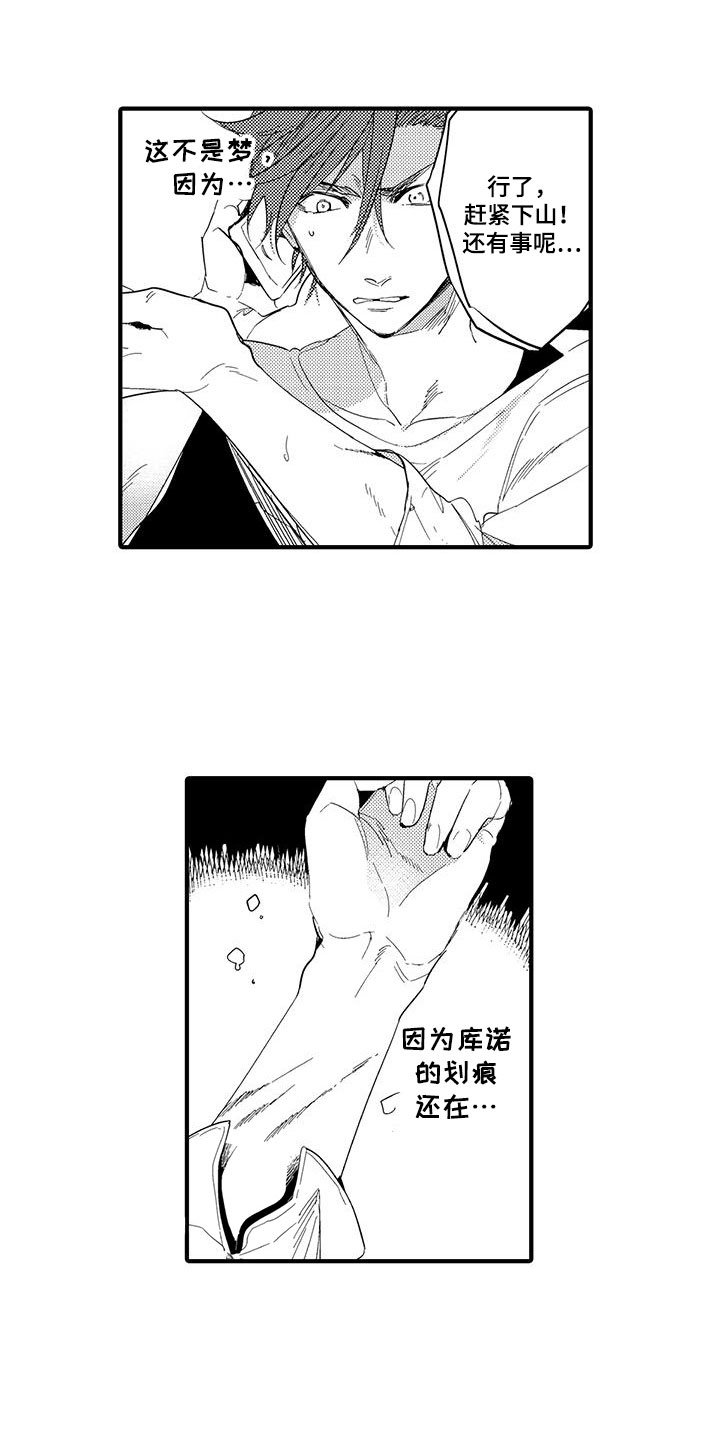 第20章：森林小屋：幻影