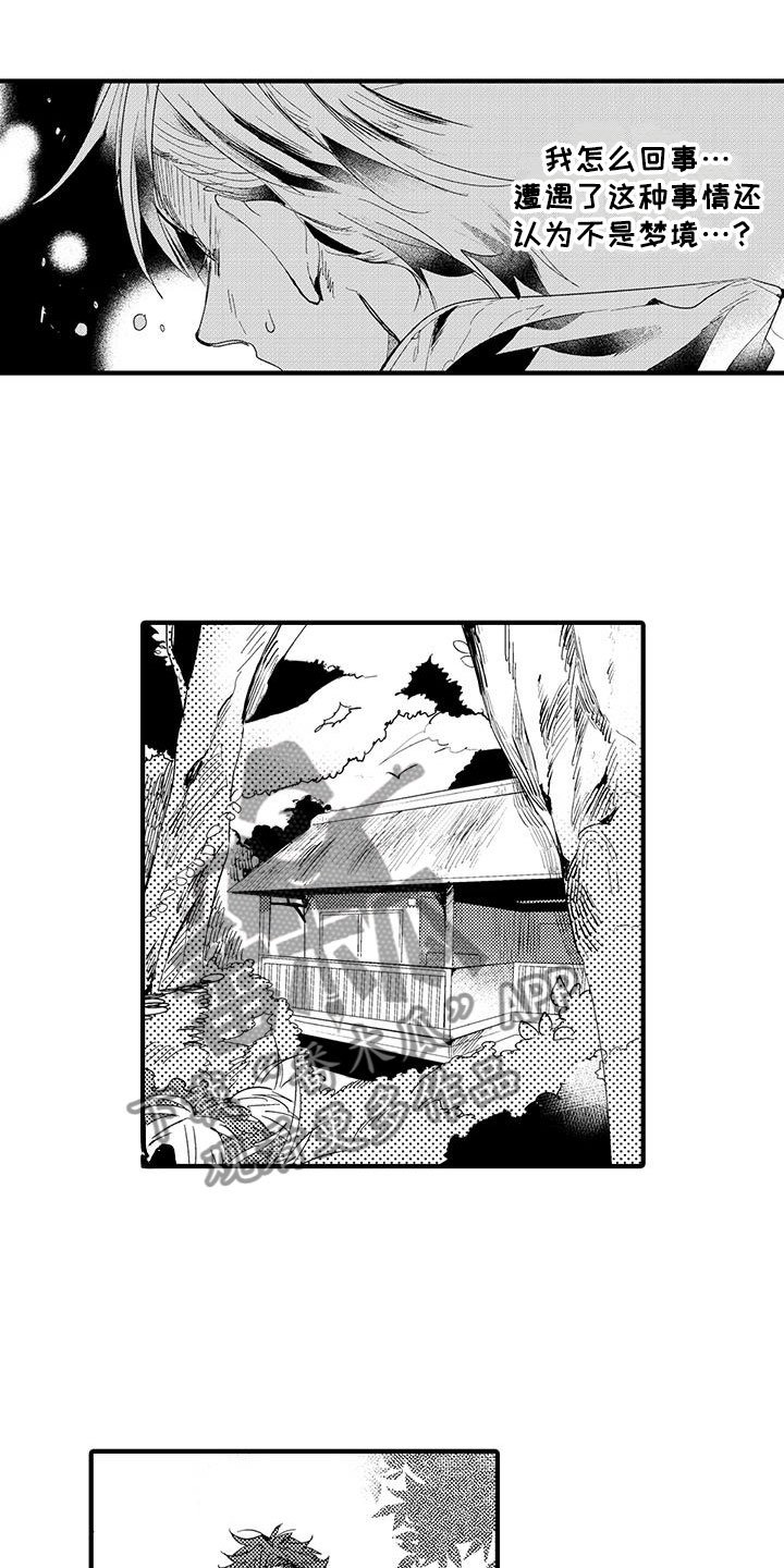 第20章：森林小屋：幻影