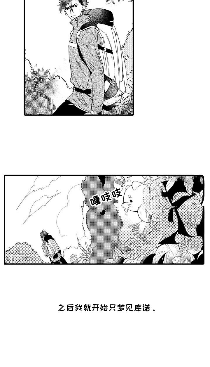 第20章：森林小屋：幻影