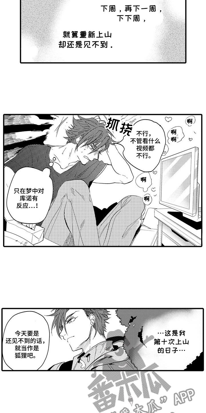 第21章：森林小屋：执着