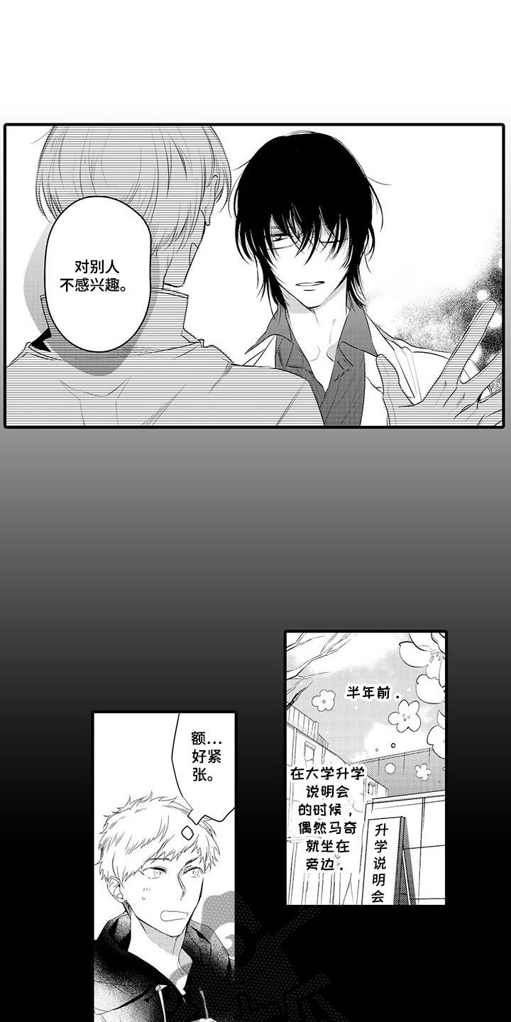 第6章：小电影：视频