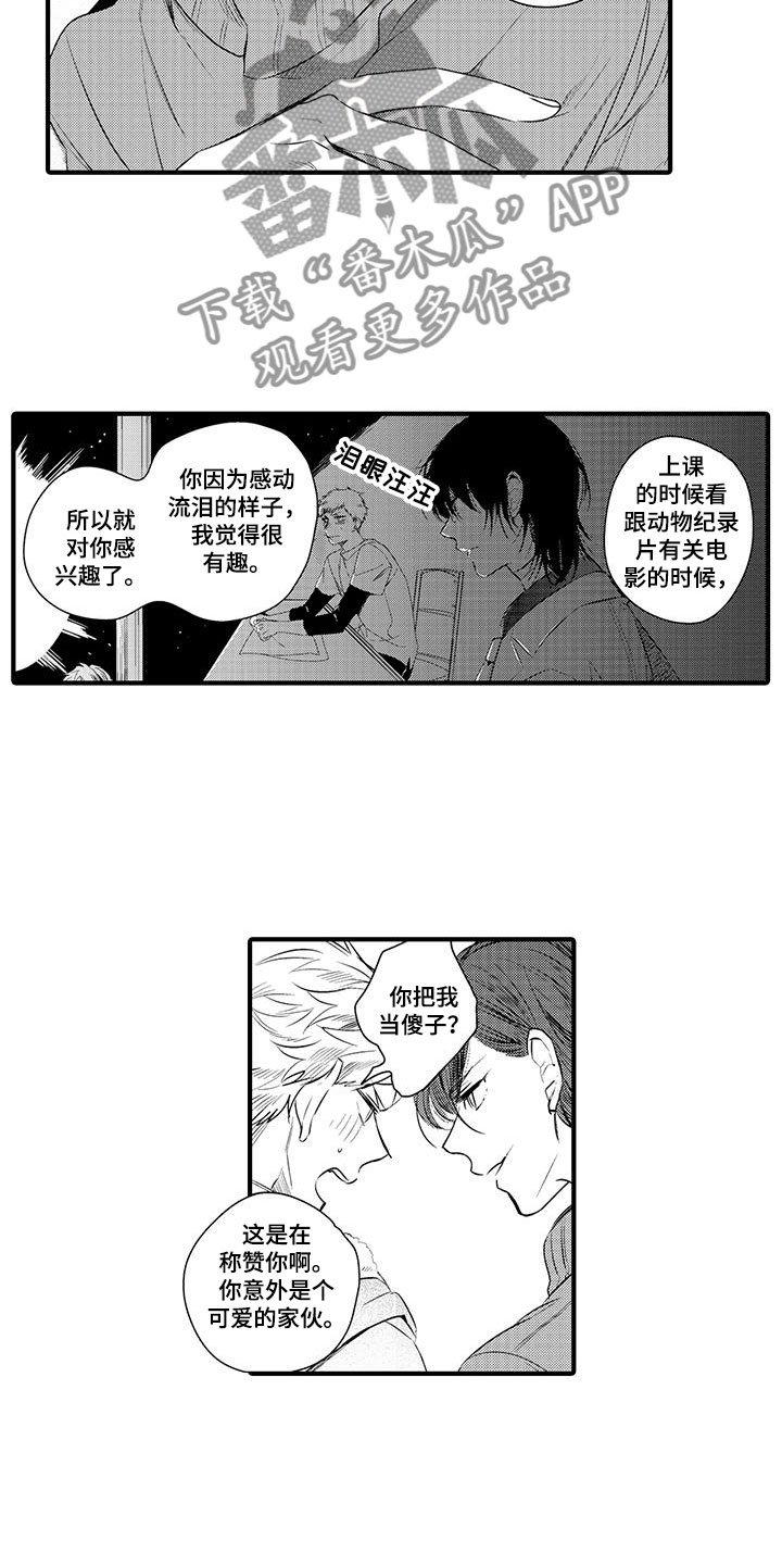 第8章：小电影：变身