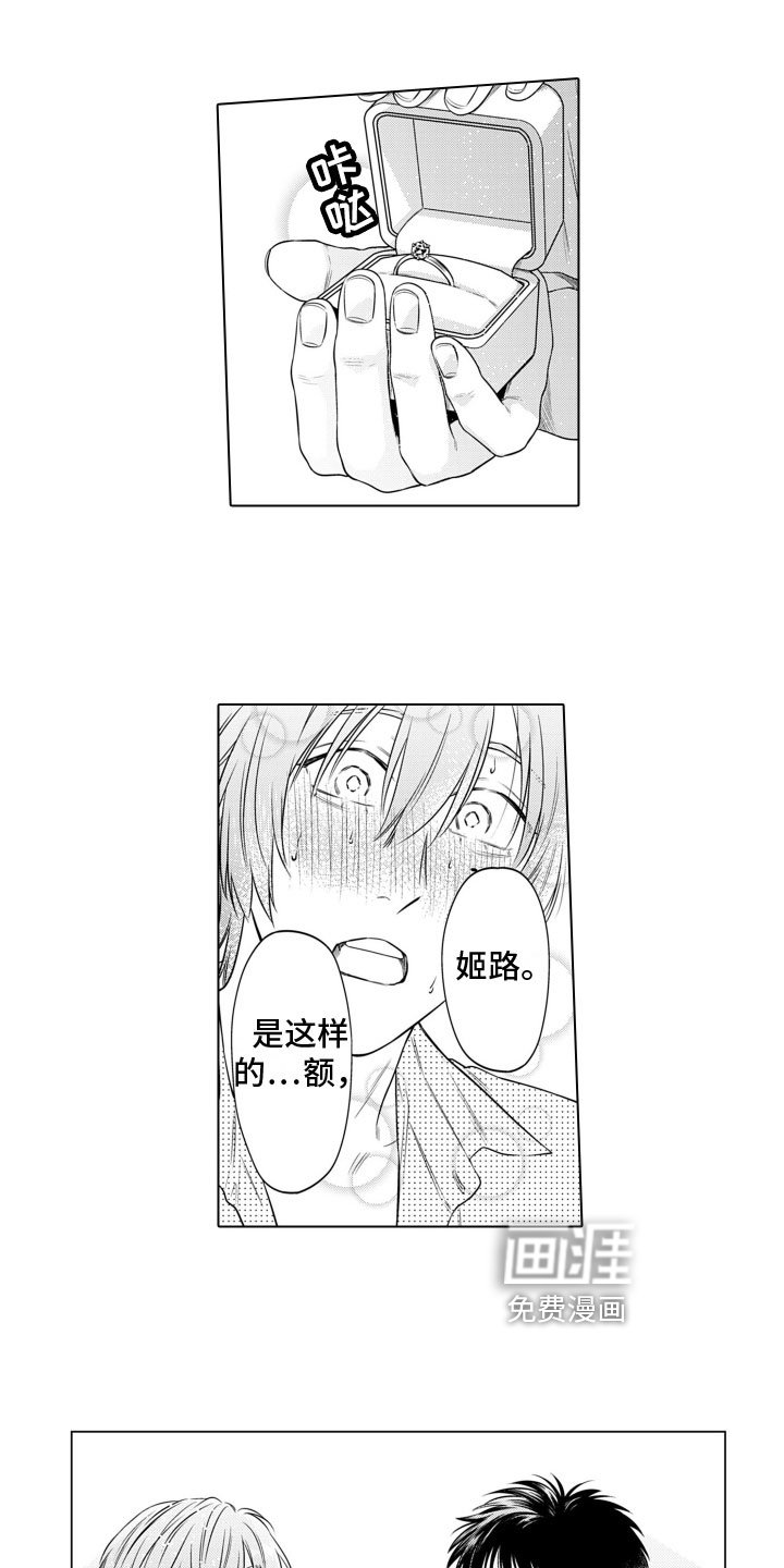 第13章：求婚