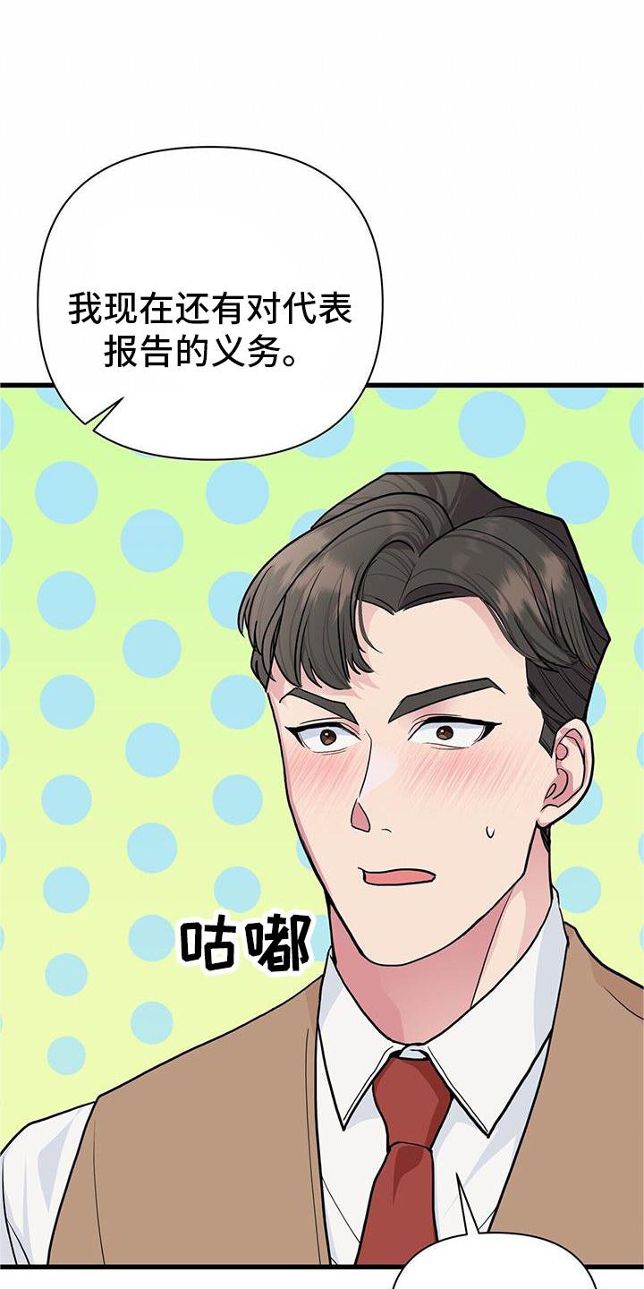 第25章：报告