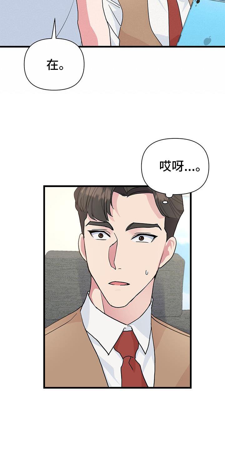 第25章：报告