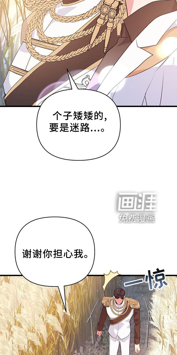 第29章：迷路