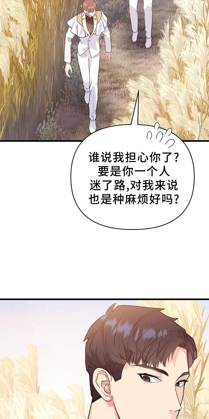 第29章：迷路