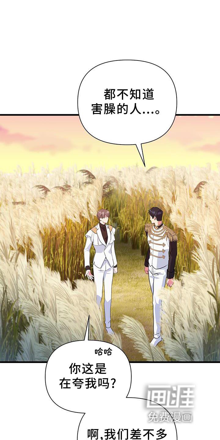 第29章：迷路