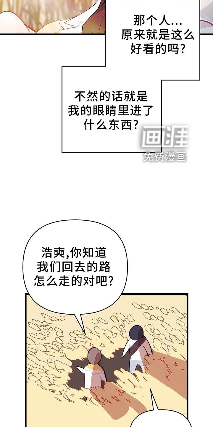 第29章：迷路