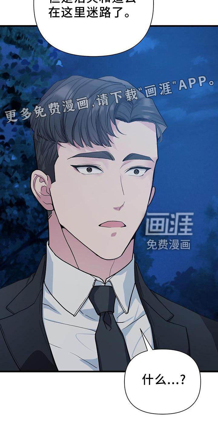 第29章：迷路