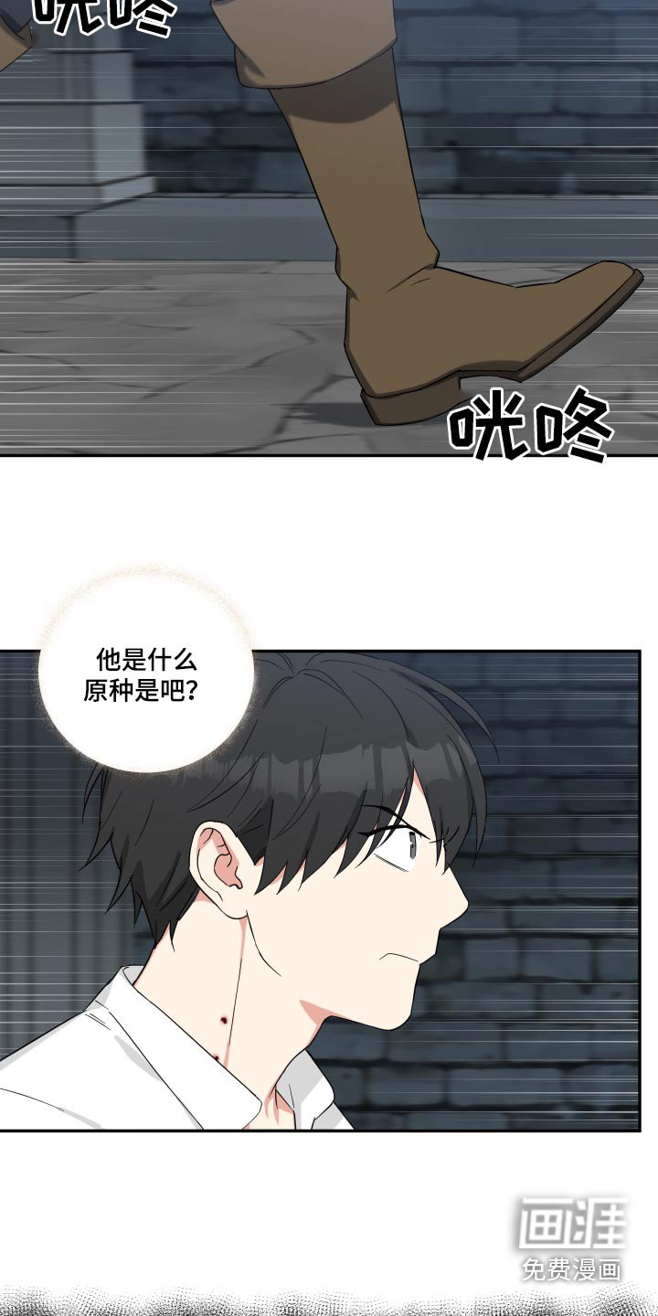 第50章：逃出