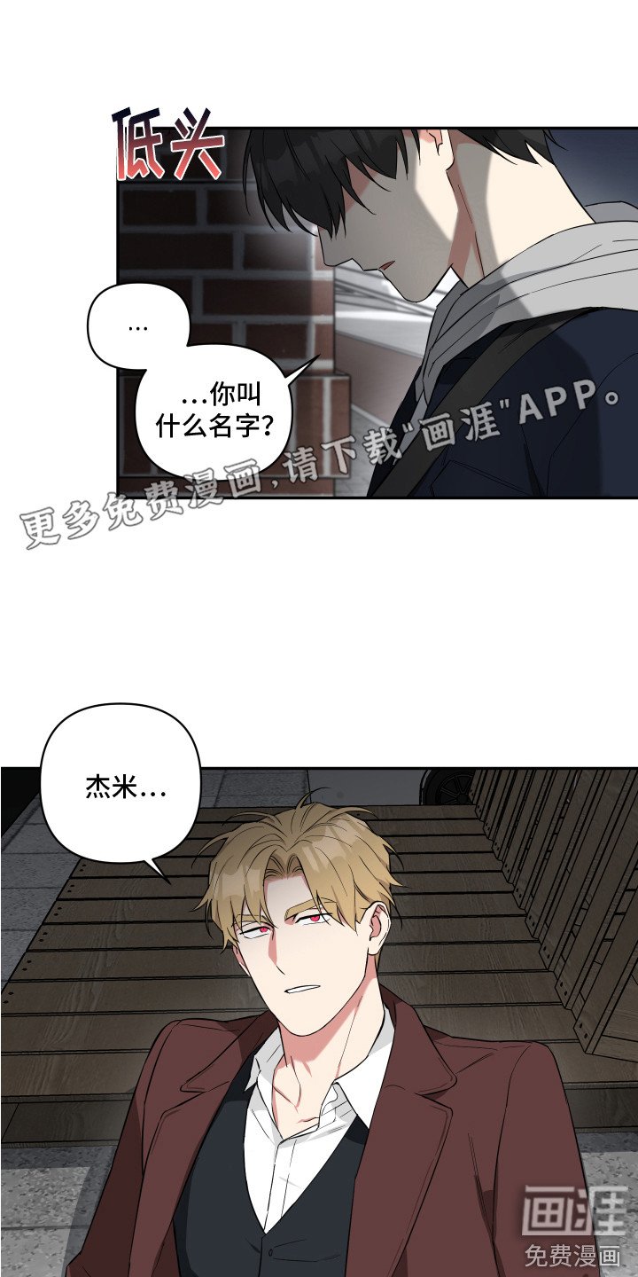 第6章：收留