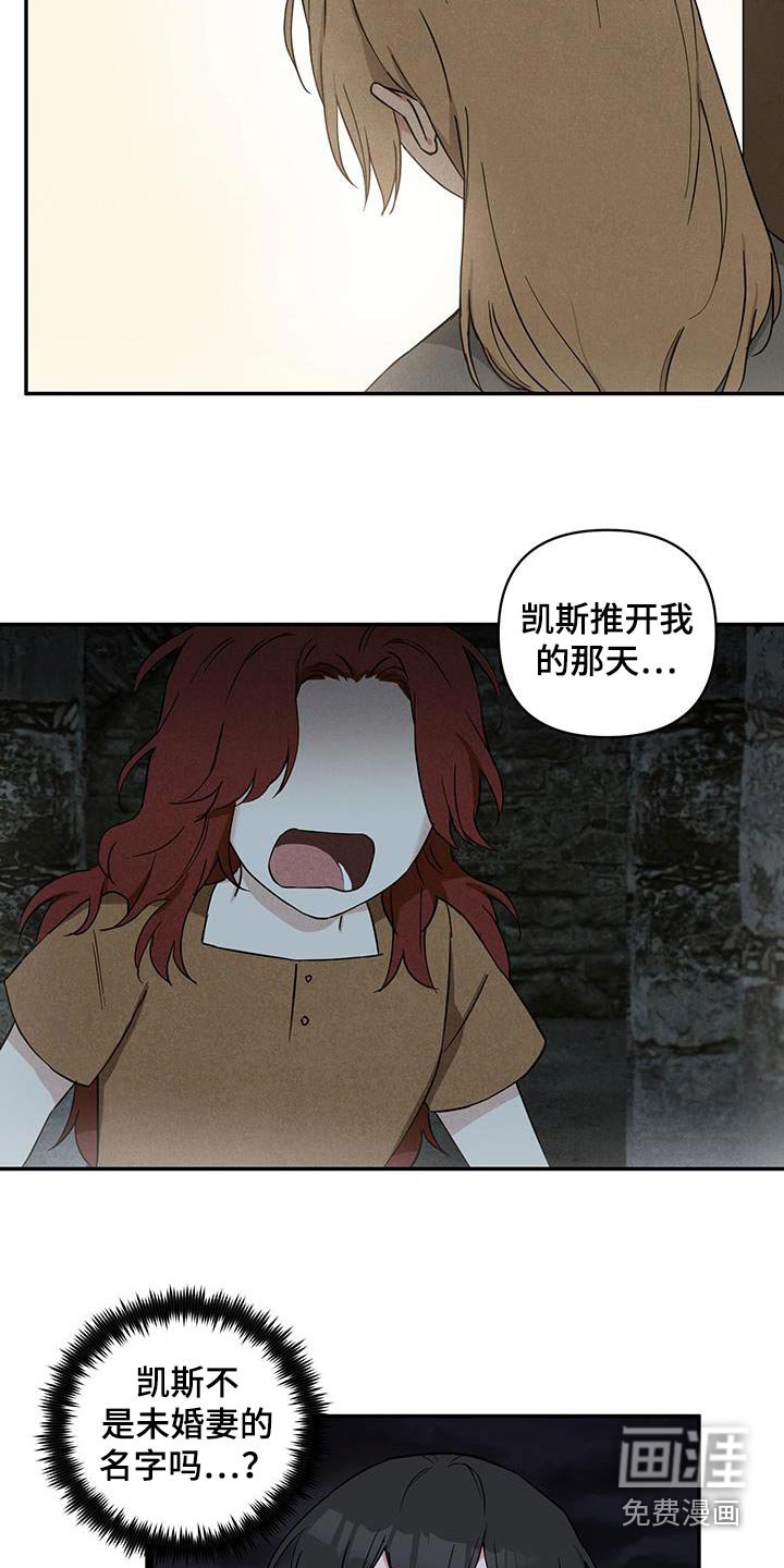 第79章：【番外】那本书