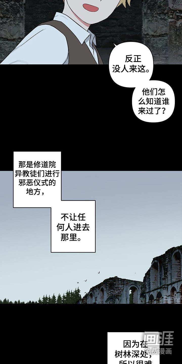 第79章：【番外】那本书