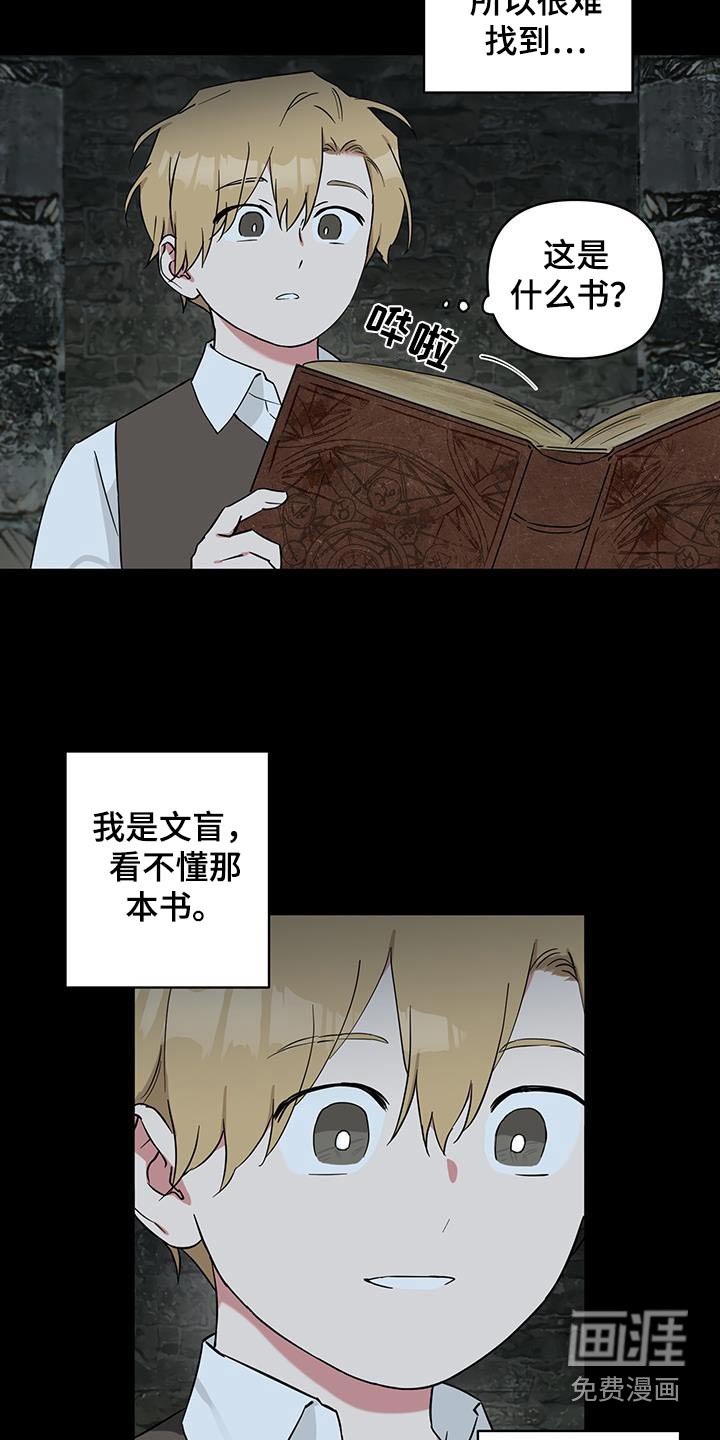 第79章：【番外】那本书
