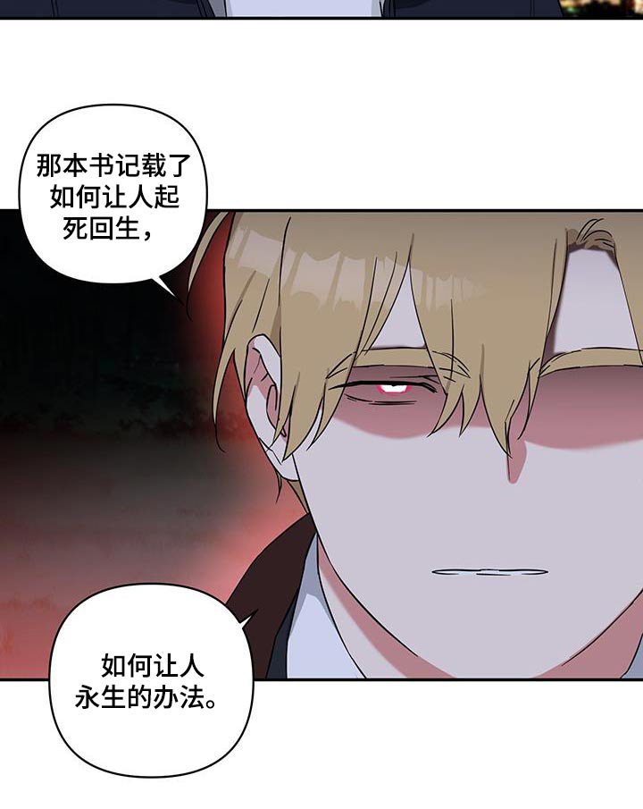 第79章：【番外】那本书