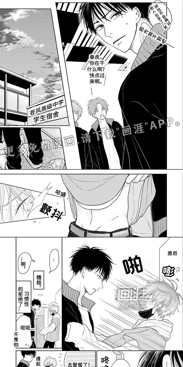 第9章：尝试