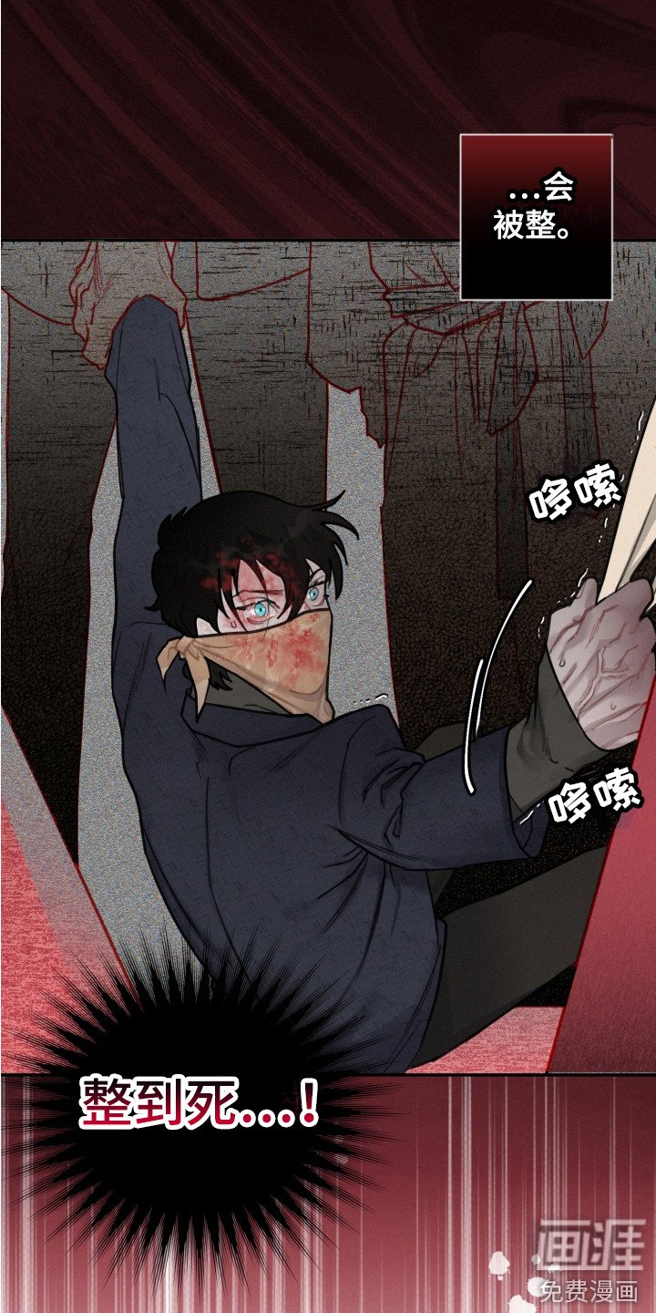 第13章：反抗