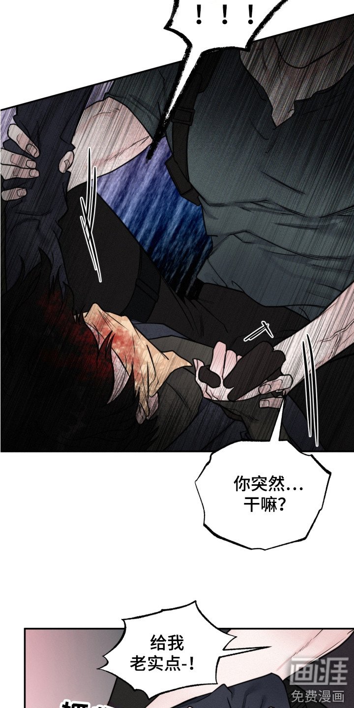 第13章：反抗