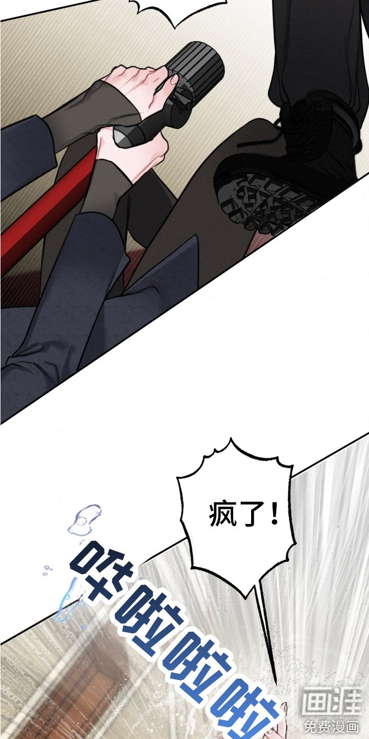 第13章：反抗