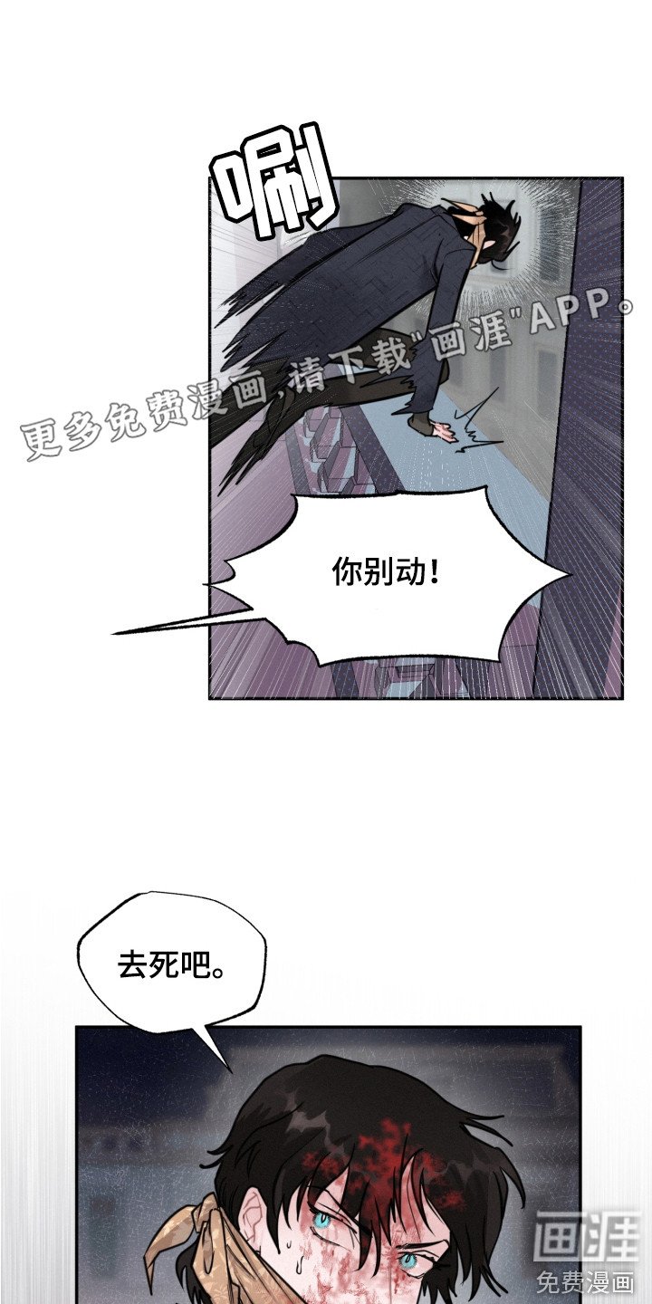 第14章：调查