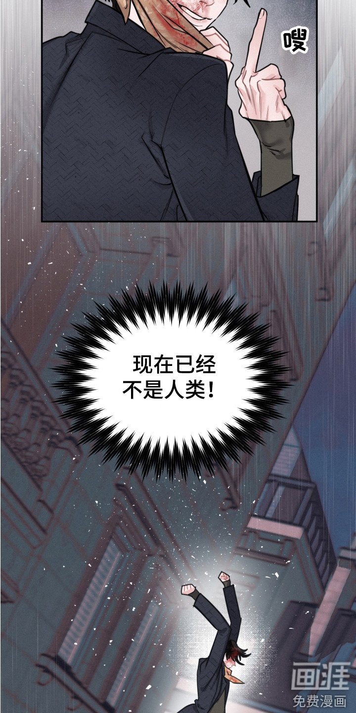 第14章：调查