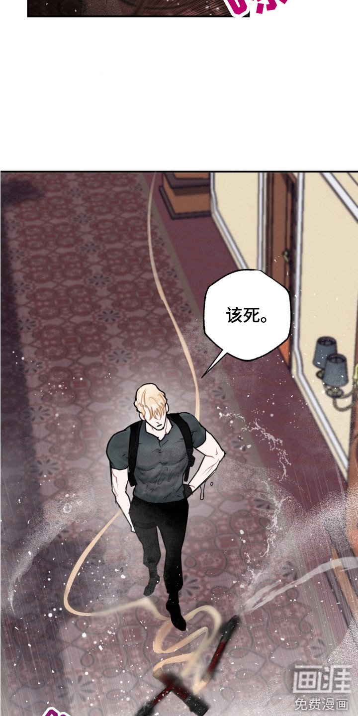 第14章：调查