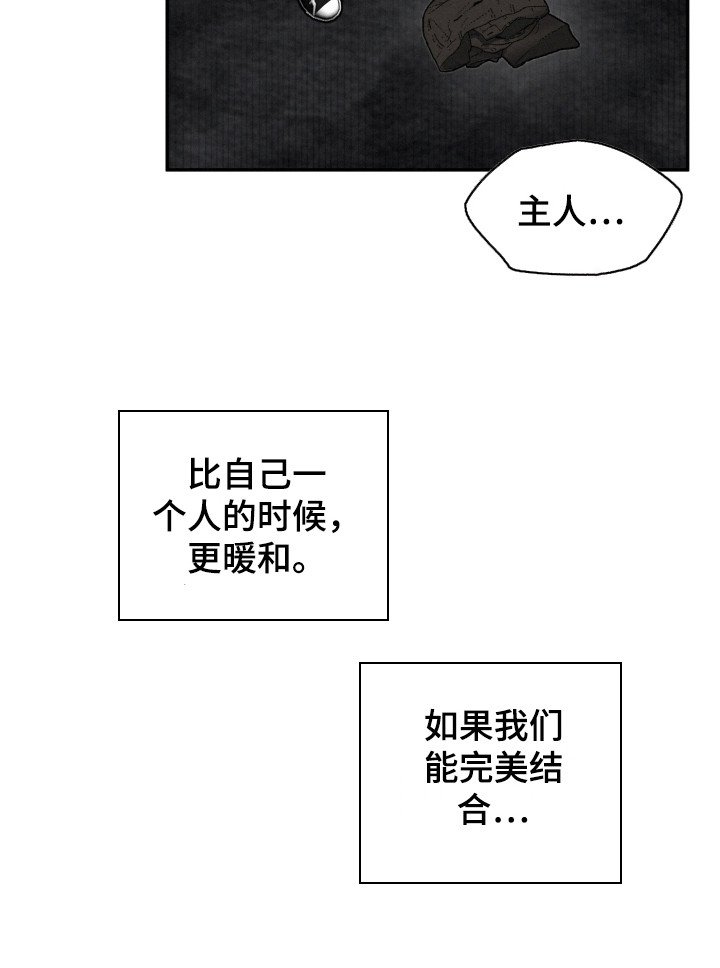 第14章：调查