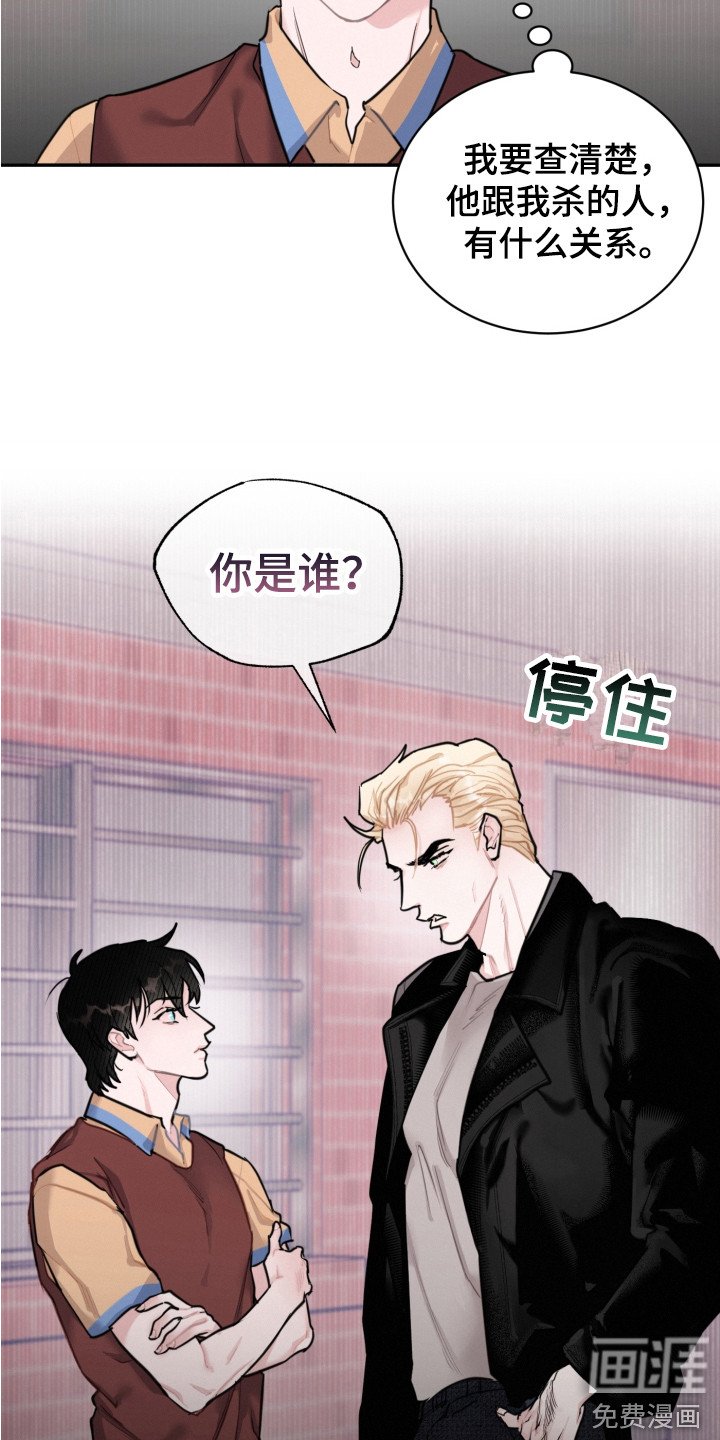 第14章：调查