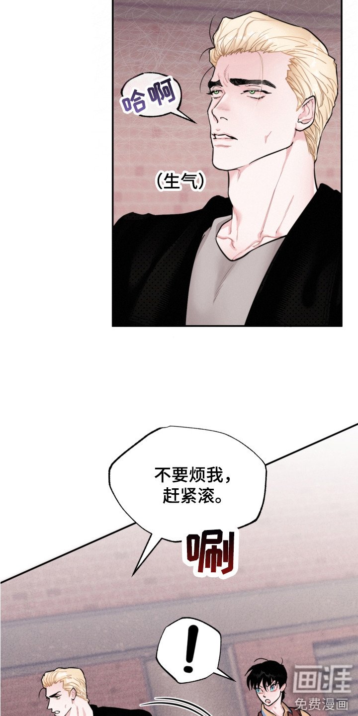 第14章：调查