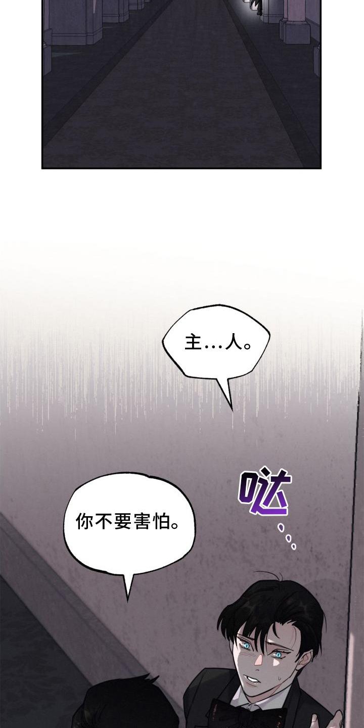 第20章：单独