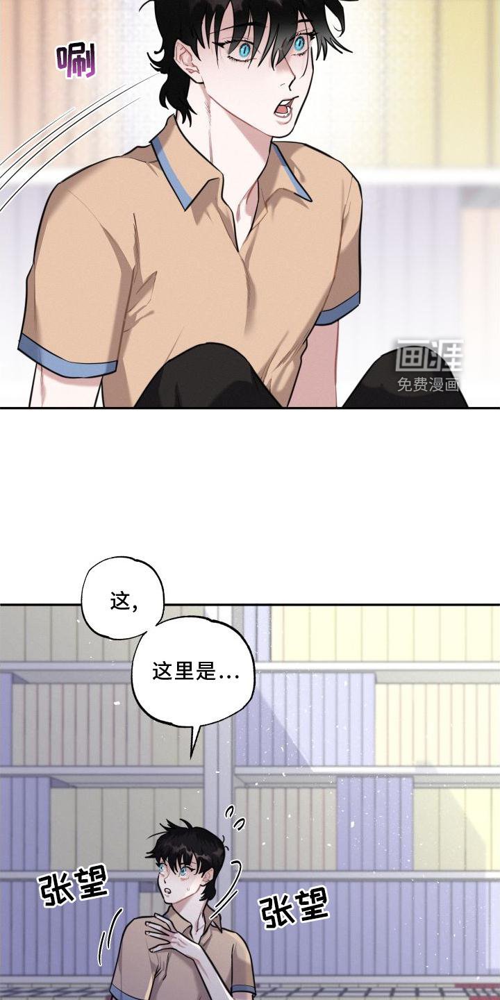 第28章：疯子