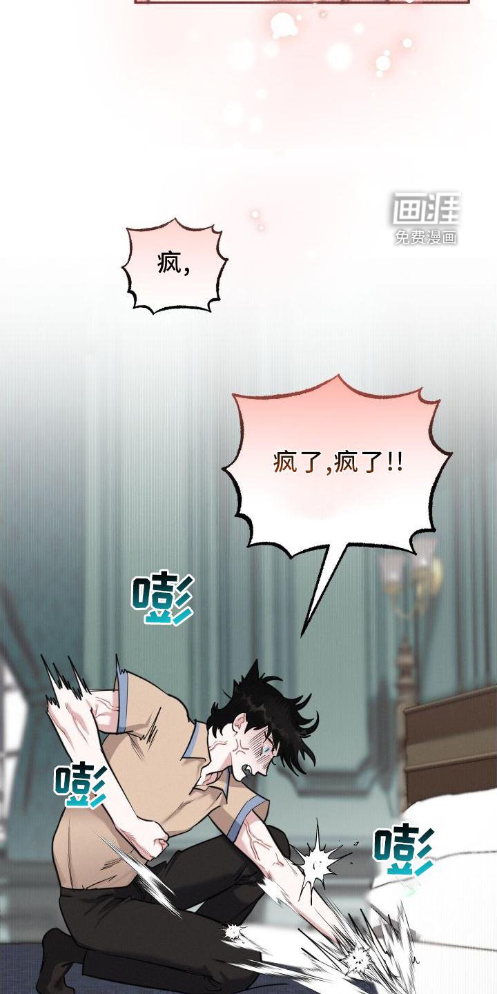第28章：疯子