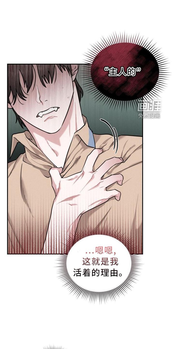 第29章：爱