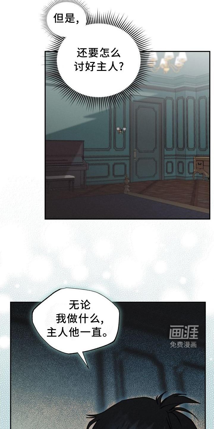 第29章：爱