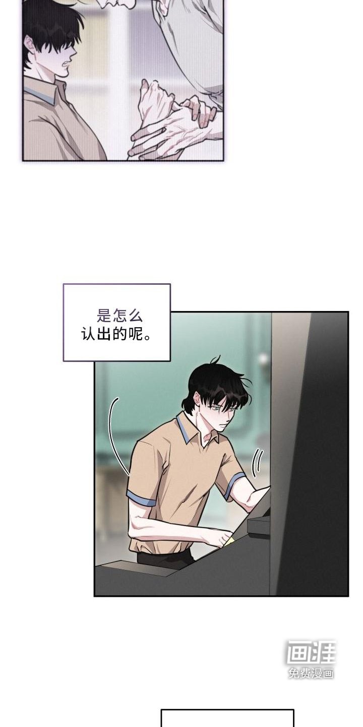 第29章：爱