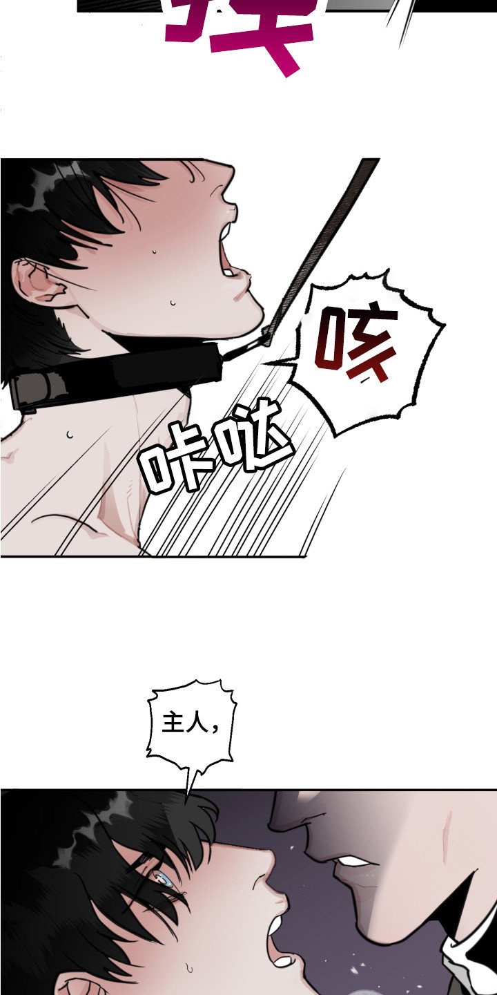 第3章：服从