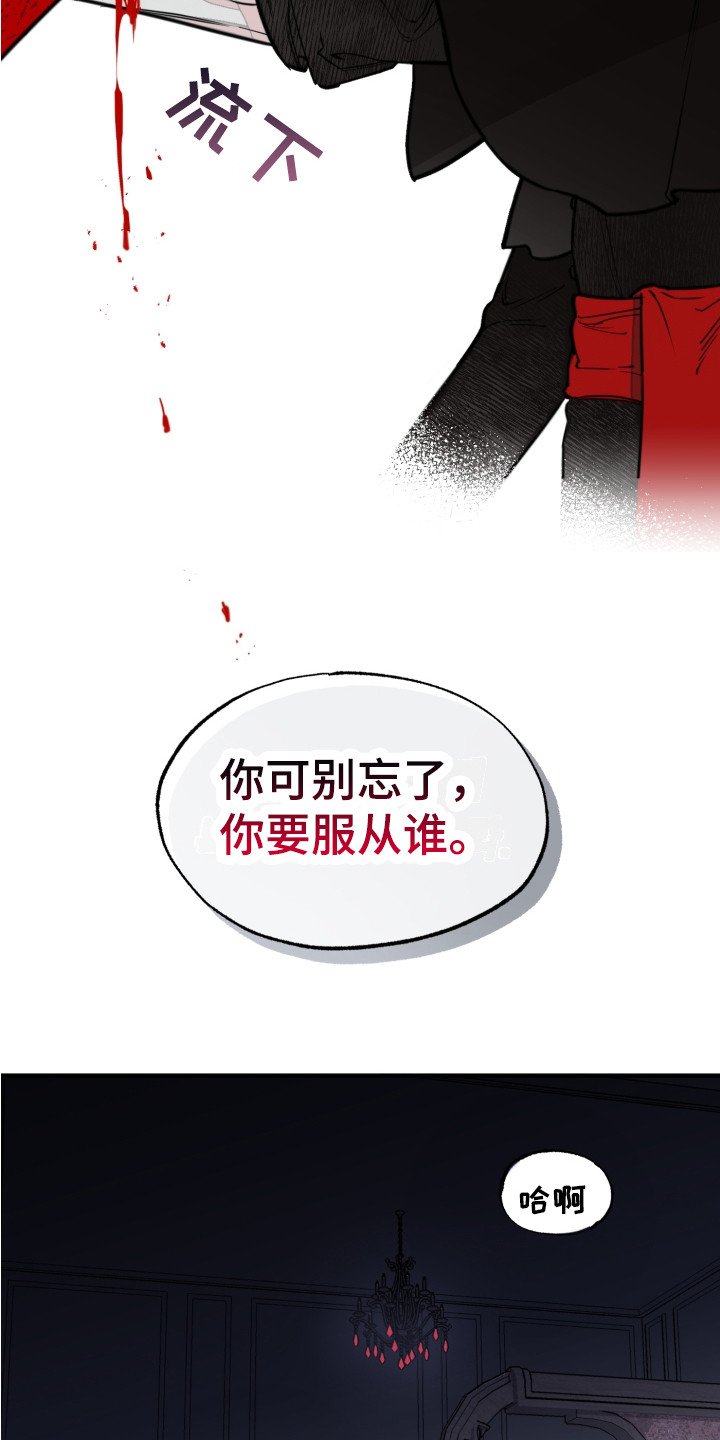 第3章：服从