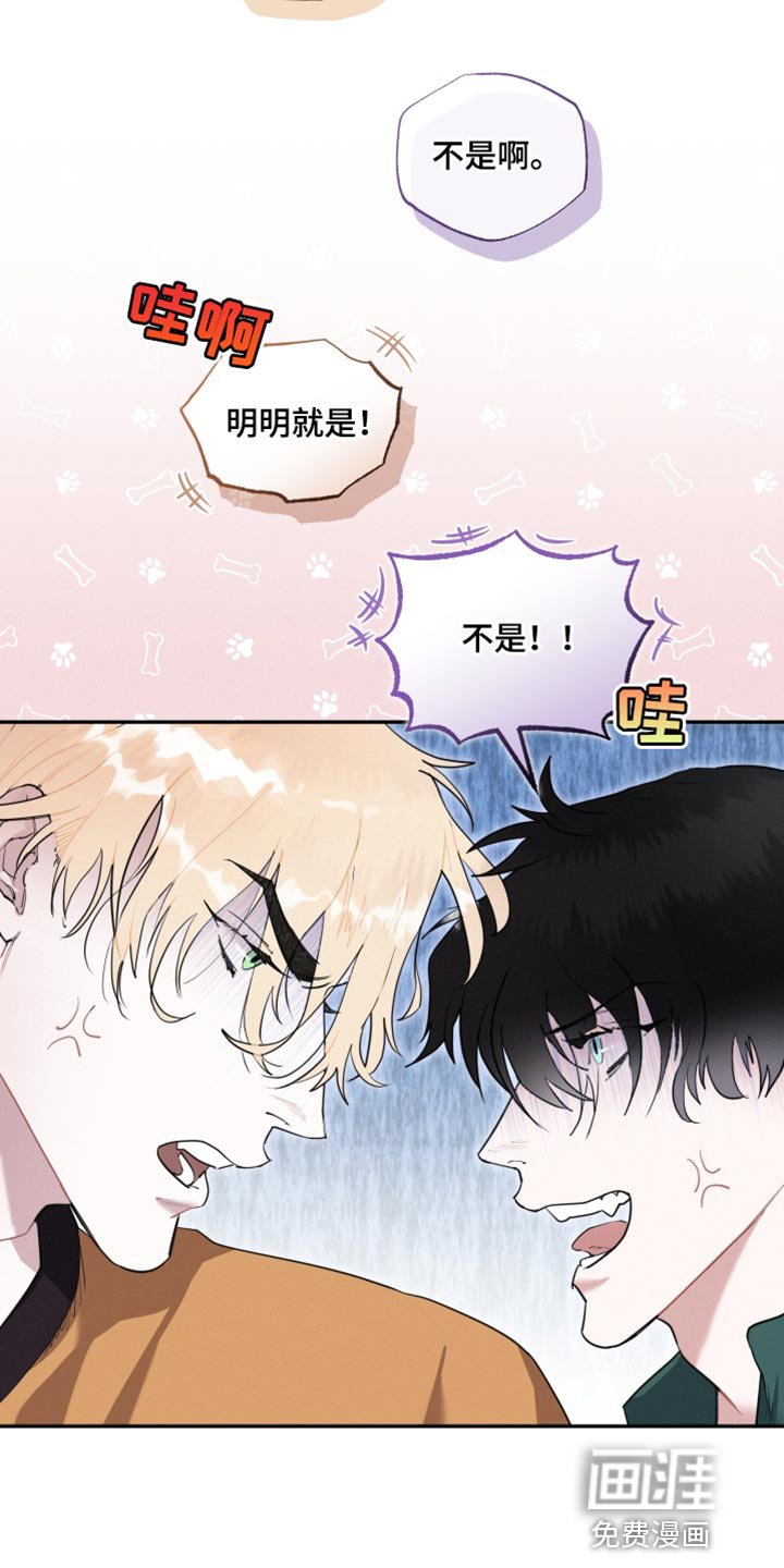 第33章：我们确认看看
